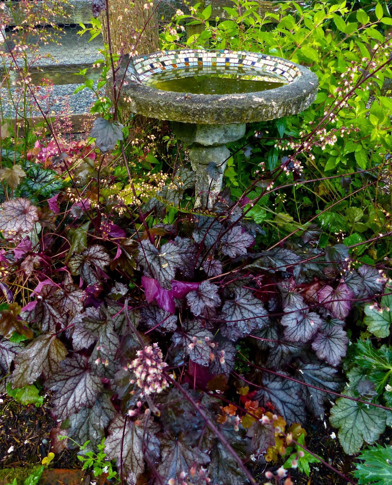 Gardening 2020 Plant Trends
